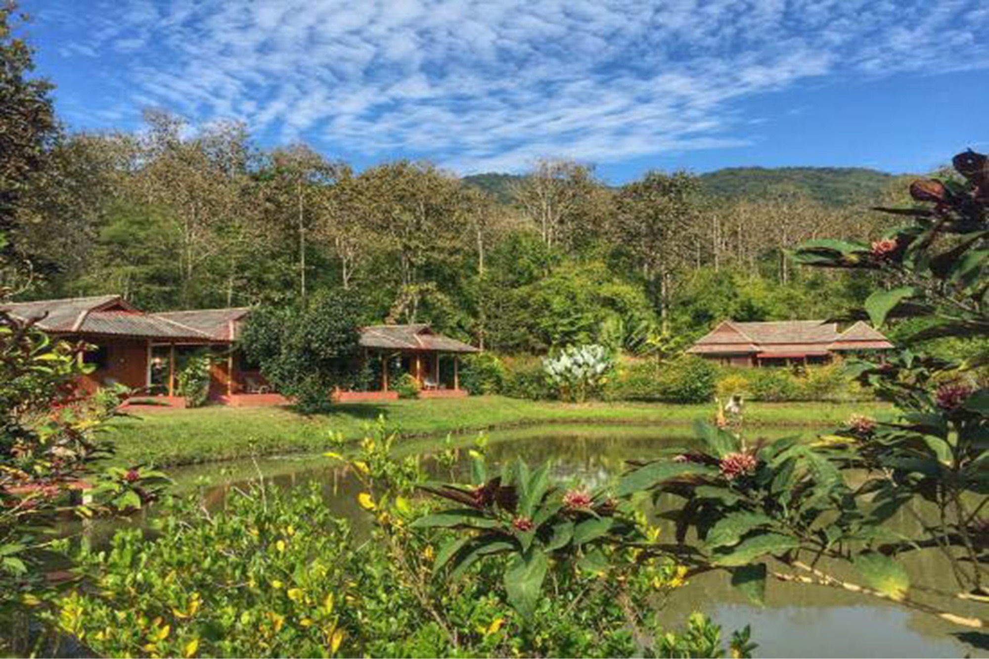 Noks Garden Resort Chiang Rai Extérieur photo