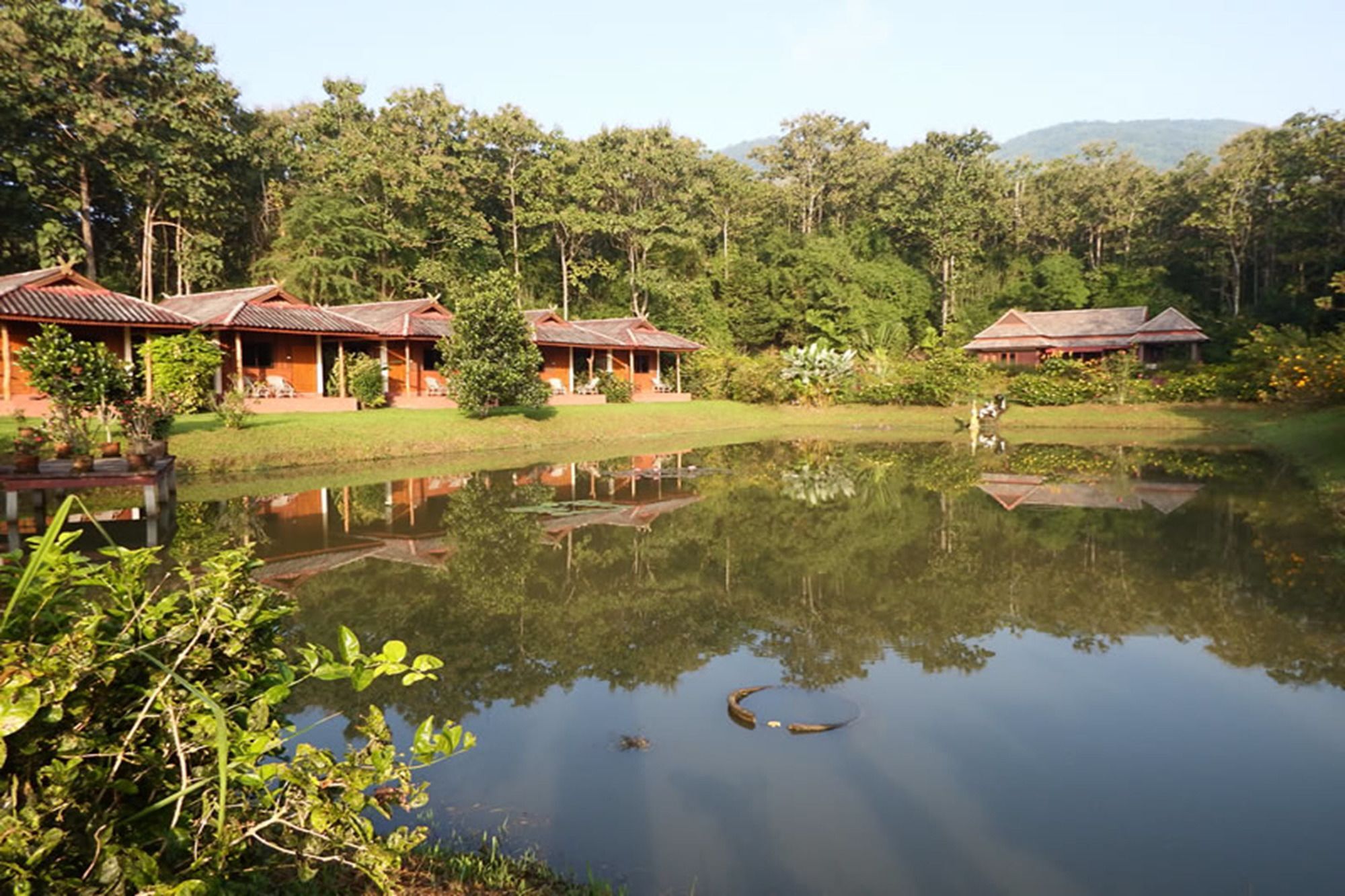 Noks Garden Resort Chiang Rai Extérieur photo