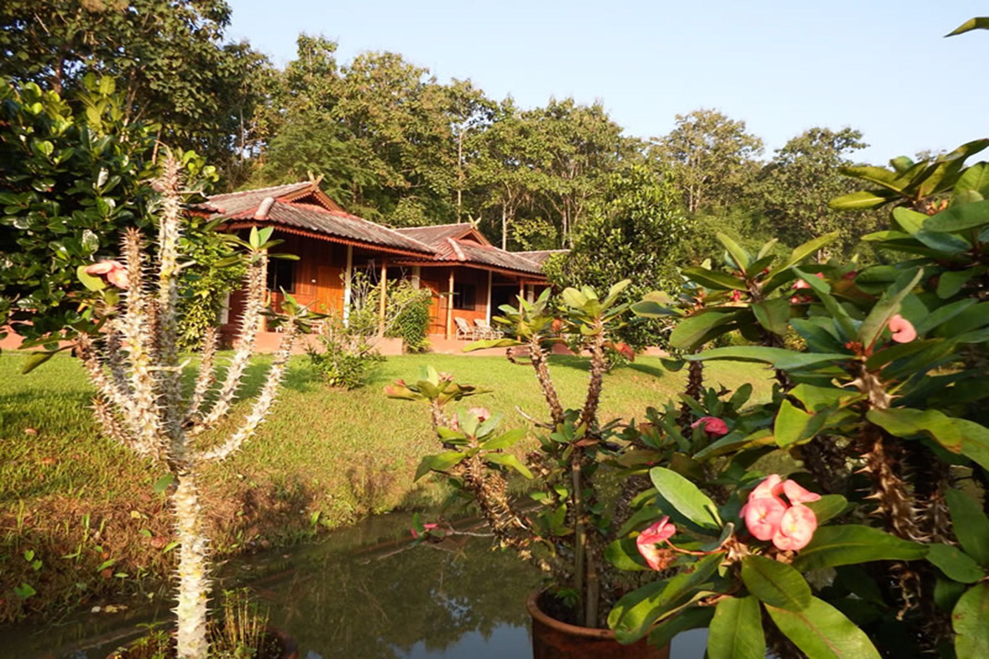 Noks Garden Resort Chiang Rai Extérieur photo